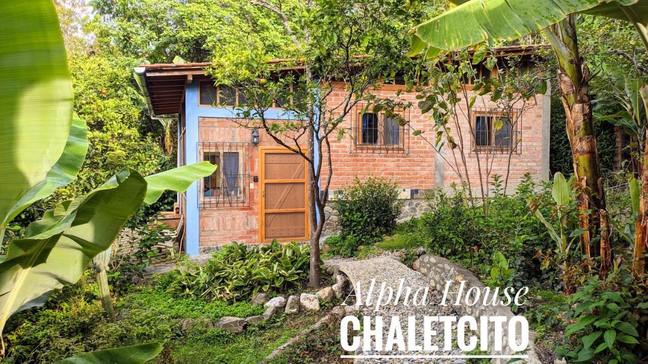 Apartamento Alpha House *