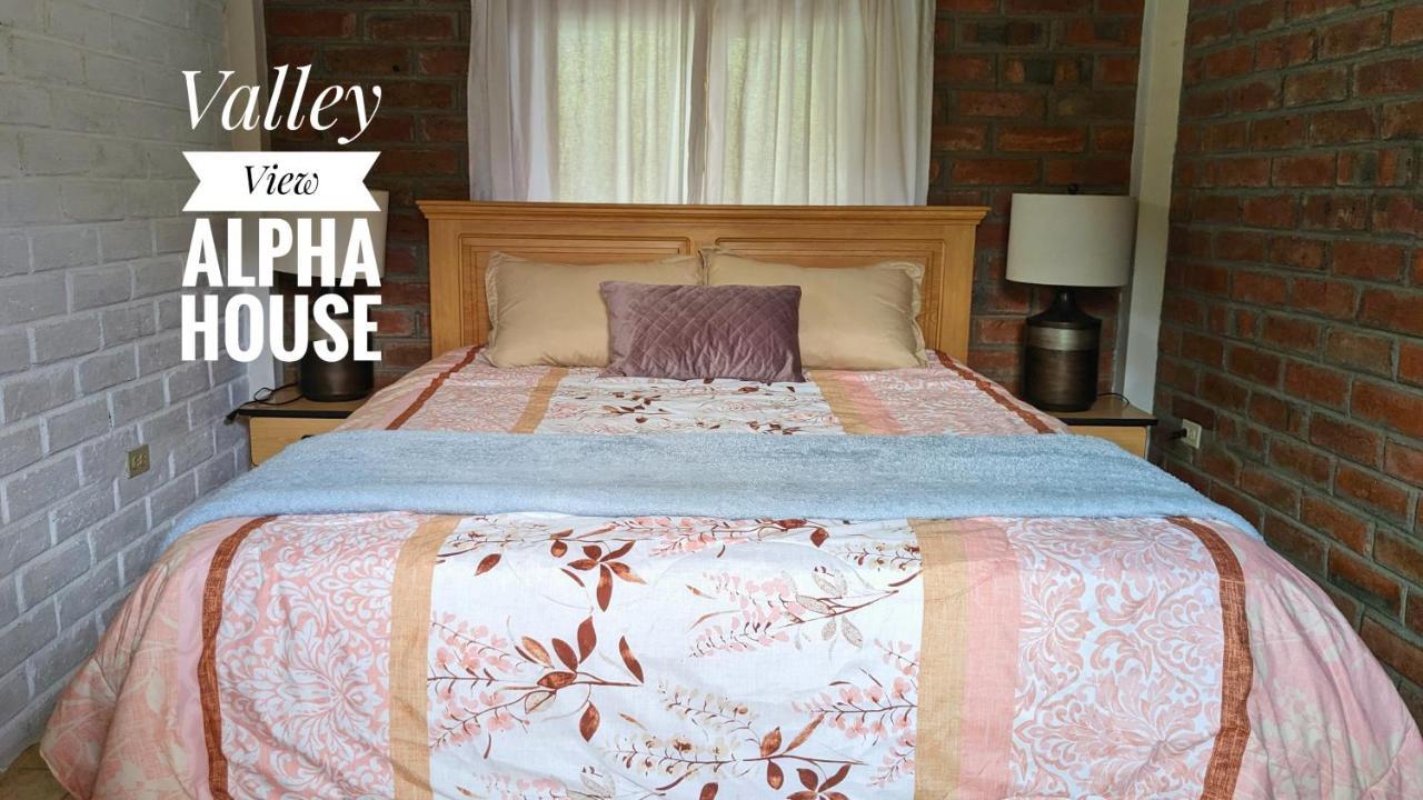 Alpha House *